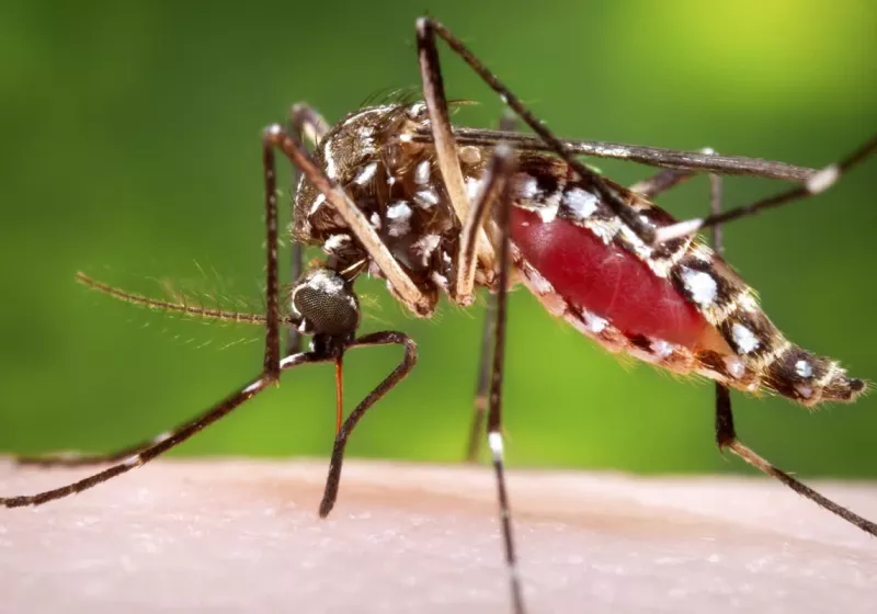 https://www.techspot.com/news/103435-drones-biting-back-against-florida-mosquito-problem.html